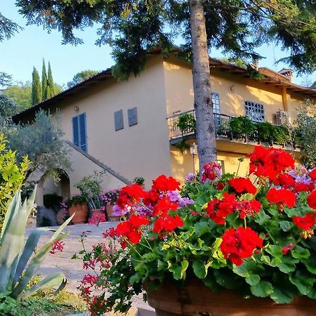 Ulivi Di Castello Bed & Breakfast Florence Exterior photo