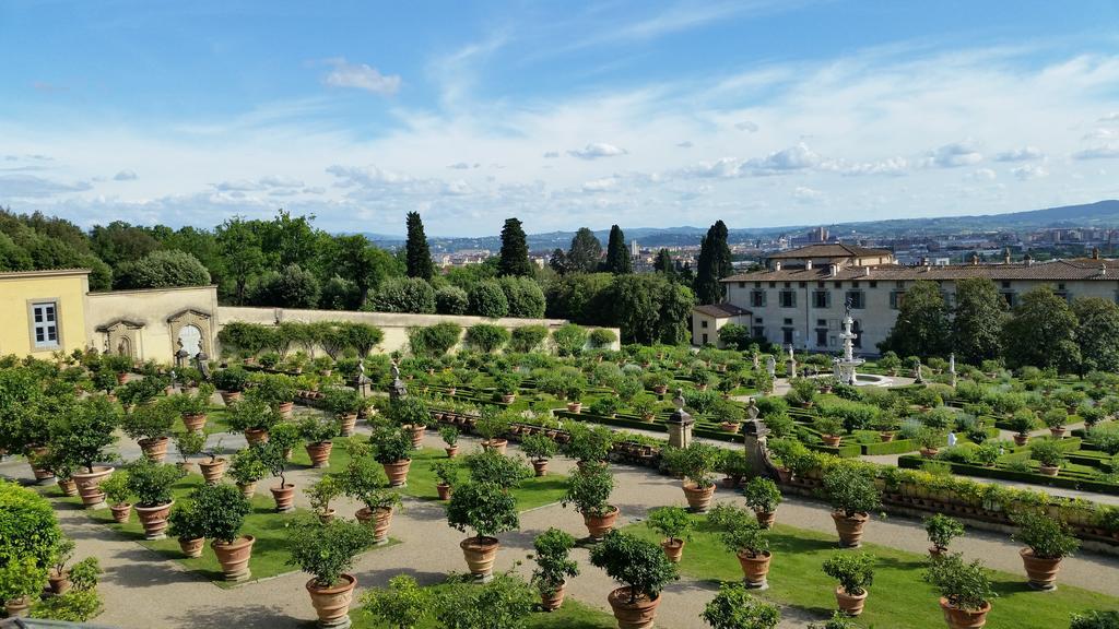 Ulivi Di Castello Bed & Breakfast Florence Exterior photo